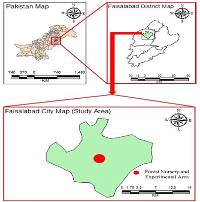 Assessing the effects of limestone dust and lead pollution on the ecophysiology of some selected urban tree species